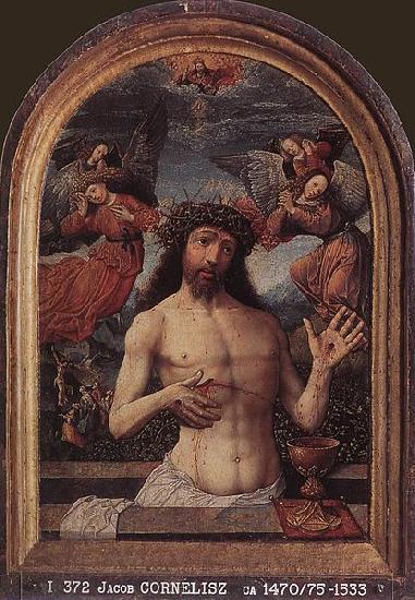 CORNELISZ VAN OOSTSANEN, Jacob Man of Sorrows Spain oil painting art